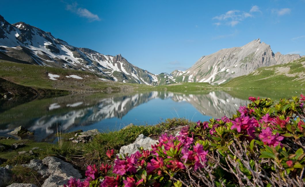 lac-jovet